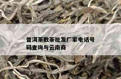 普洱茶散茶批发厂家电话号码查询与云南商