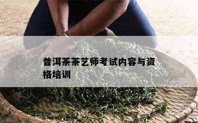 普洱茶茶艺师考试内容与资格培训