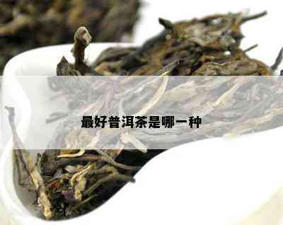 更好普洱茶是哪一种