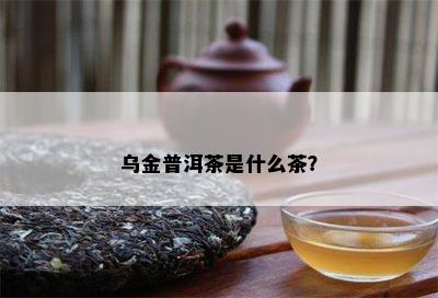 乌金普洱茶是什么茶？