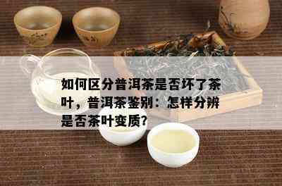 如何区分普洱茶是否坏了茶叶，普洱茶鉴别：怎样分辨是否茶叶变质？