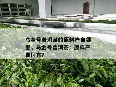 乌金号普洱茶的原料产自哪里，乌金号普洱茶：原料产自何方？