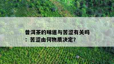 普洱茶的味道与苦涩有关吗：苦涩由何物质决定？