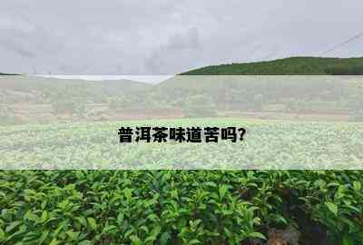 普洱茶味道苦吗？