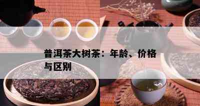 普洱茶大树茶：年龄、价格与区别