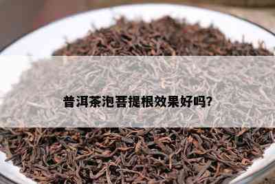 普洱茶泡菩提根效果好吗？