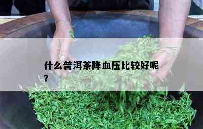 什么普洱茶降血压比较好呢？