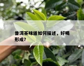 普洱茶味道如何描述，好喝形成？