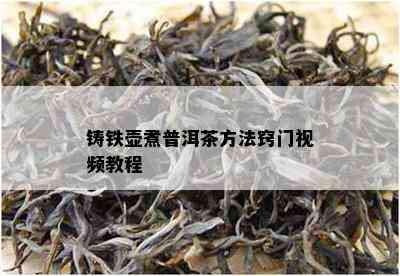 铸铁壶煮普洱茶方法窍门视频教程