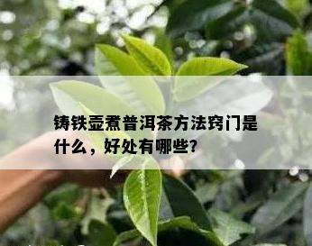 铸铁壶煮普洱茶方法窍门是什么，好处有哪些？