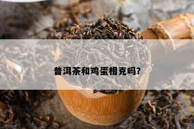 普洱茶和鸡蛋相克吗？