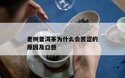 老树普洱茶为什么会苦涩的原因及口感