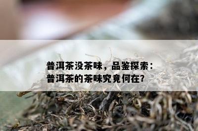 普洱茶没茶味，品鉴探索：普洱茶的茶味究竟何在？