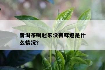 普洱茶喝起来没有味道是什么情况？