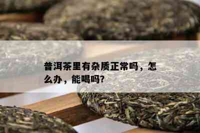 普洱茶里有杂质正常吗，怎么办，能喝吗？