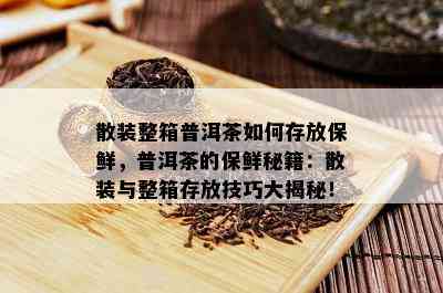 散装整箱普洱茶如何存放保鲜，普洱茶的保鲜秘籍：散装与整箱存放技巧大揭秘！