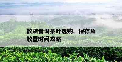 散装普洱茶叶选购、保存及放置时间攻略