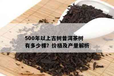 500年以上古树普洱茶树有多少棵？价格及产量解析