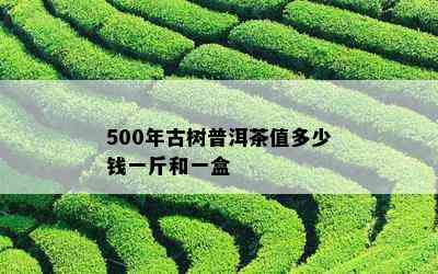 500年古树普洱茶值多少钱一斤和一盒