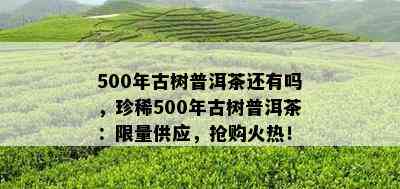 500年古树普洱茶还有吗，珍稀500年古树普洱茶： *** 供应，抢购火热！