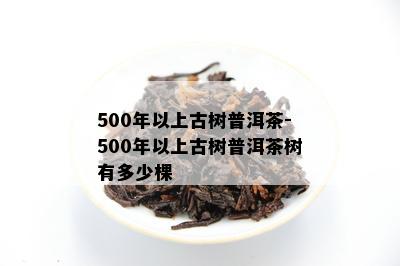 500年以上古树普洱茶-500年以上古树普洱茶树有多少棵