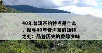 40年普洱茶的特点是什么，探寻40年普洱茶的独特之处：品鉴历史的香醇滋味