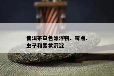 普洱茶白色漂浮物、霉点、虫子和絮状沉淀