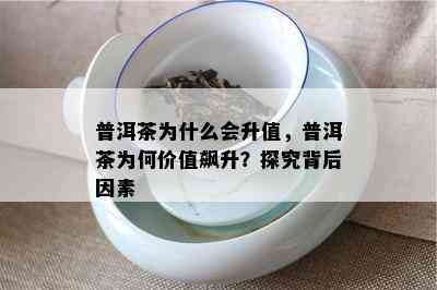 普洱茶为什么会升值，普洱茶为何价值飙升？探究背后因素