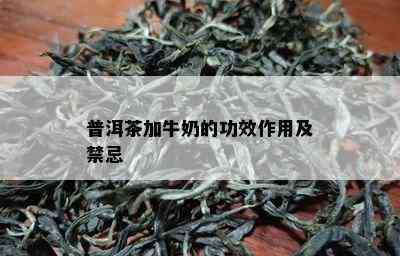 普洱茶加牛奶的功效作用及禁忌