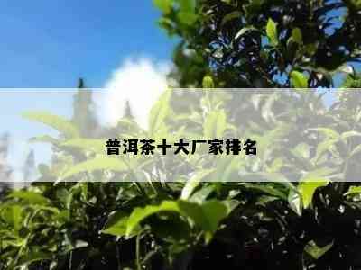 普洱茶十大厂家排名