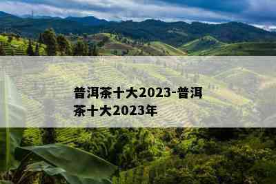 普洱茶十大2023-普洱茶十大2023年