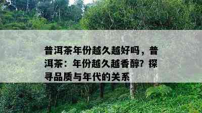 普洱茶年份越久越好吗，普洱茶：年份越久越香醇？探寻品质与年代的关系