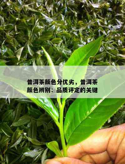 普洱茶颜色分优劣，普洱茶颜色辨别：品质评定的关键