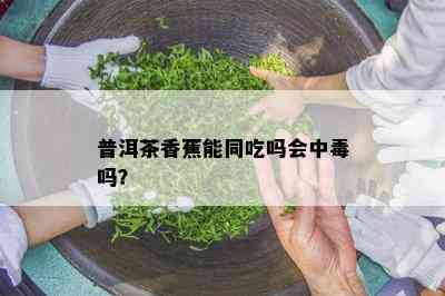 普洱茶香蕉能同吃吗会中吗？