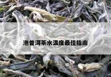 泡普洱茶水温度更佳指南