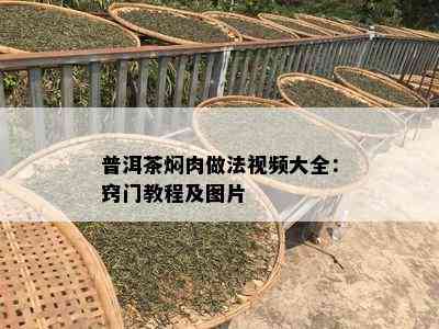 普洱茶焖肉做法视频大全：窍门教程及图片