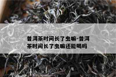 普洱茶时间长了虫嘛-普洱茶时间长了虫嘛还能喝吗