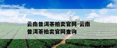 云南普洱茶拍卖官网-云南普洱茶拍卖官网查询