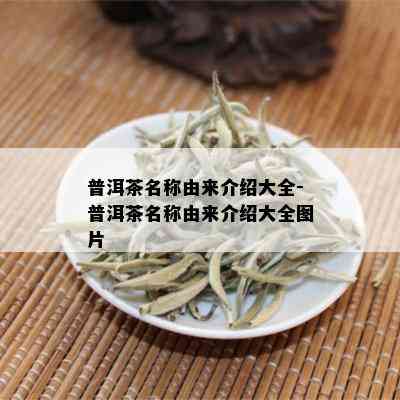 普洱茶名称由来介绍大全-普洱茶名称由来介绍大全图片