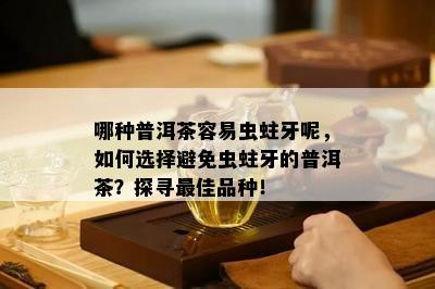 哪种普洱茶容易虫蛀牙呢，如何选择避免虫蛀牙的普洱茶？探寻更佳品种！