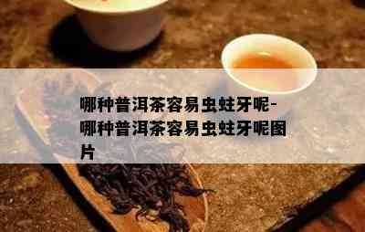 哪种普洱茶容易虫蛀牙呢-哪种普洱茶容易虫蛀牙呢图片