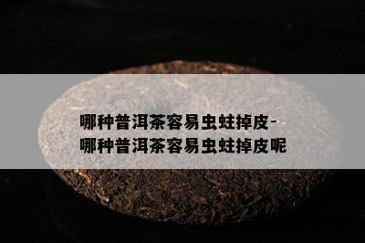 哪种普洱茶容易虫蛀掉皮-哪种普洱茶容易虫蛀掉皮呢