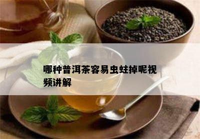 哪种普洱茶容易虫蛀掉呢视频讲解