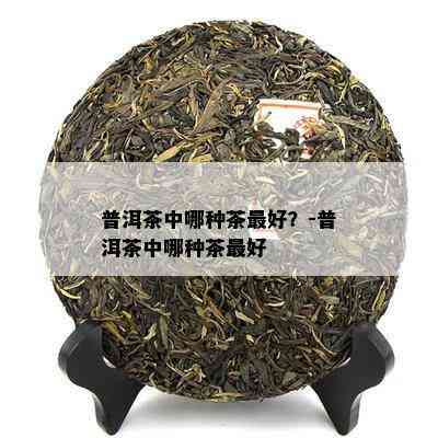 普洱茶中哪种茶更好？-普洱茶中哪种茶更好