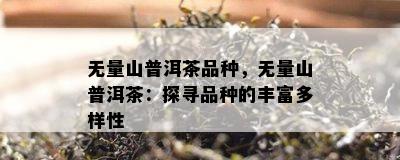 无量山普洱茶品种，无量山普洱茶：探寻品种的丰富多样性