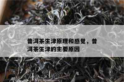 普洱茶生津原理和感觉，普洱茶生津的主要原因