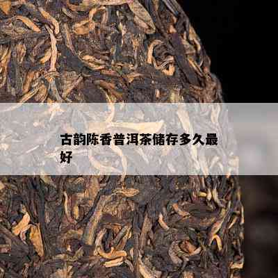 古韵陈香普洱茶储存多久更好