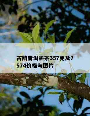 古韵普洱熟茶357克及7574价格与图片