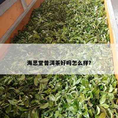 海思堂普洱茶好吗怎么样？