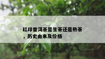 红印普洱茶是生茶还是熟茶，历史由来及价格